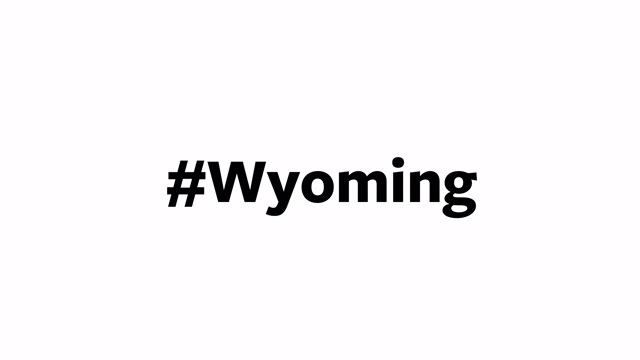 一个人在电脑屏幕上输入“#Wyoming”视频下载