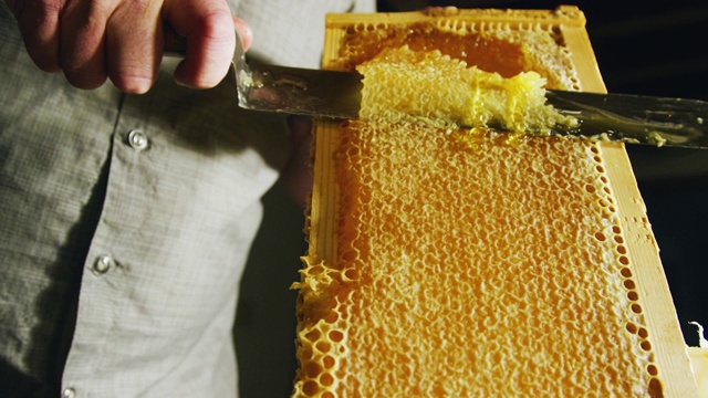 白种人用刀切开蜂巢，将蜡刮进旁边的桶里，蜂蜜顺着木框滴下来视频素材