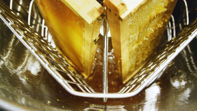 采蜜机旋转蜂巢，利用离心力将蜂蜜从蜂房中取出视频素材