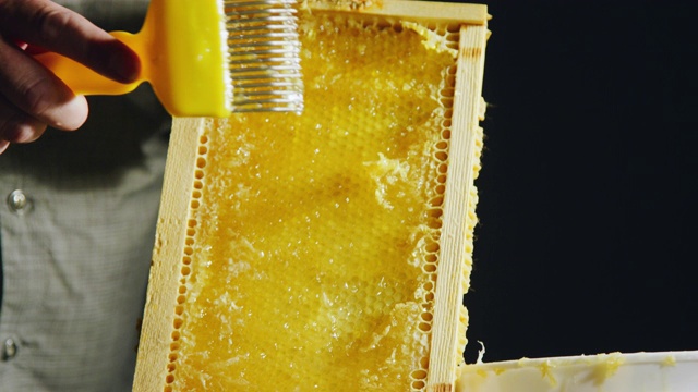 一个白种人使用工具准备一个蜂巢框架用于提取视频素材