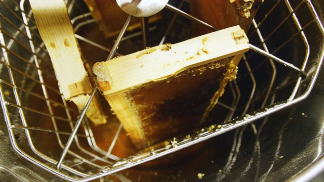 采蜜机旋转蜂巢，利用离心力将蜂蜜从蜂房中取出视频素材