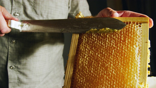 一名白人男子用刀切开蜂巢，将蜡刮进旁边的桶里，蜂蜜顺着木框滴下来视频素材
