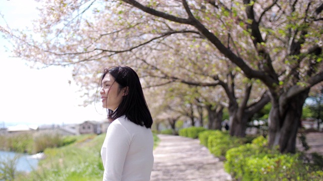 女人在日本的春天与樱花快乐视频下载