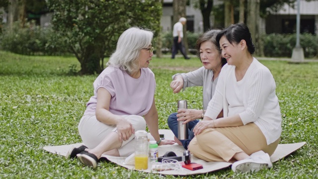 三位台湾资深女性在公园里度过了一天视频素材