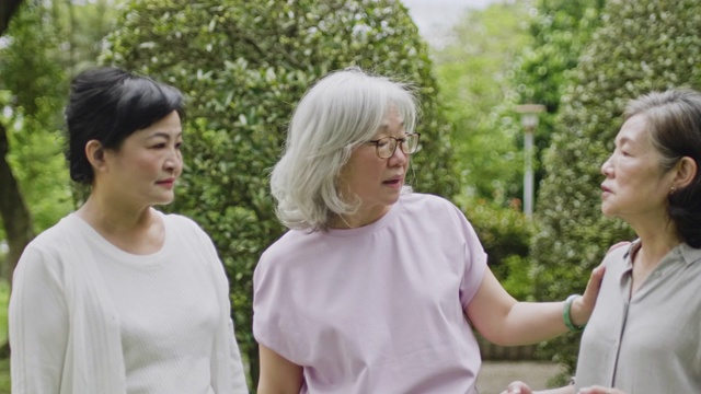 台湾高级女性朋友在公园聊天视频素材