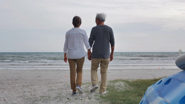 暑假里一对浪漫的老年情侣。一对老年夫妇在海边休息。高级假期,假期视频素材