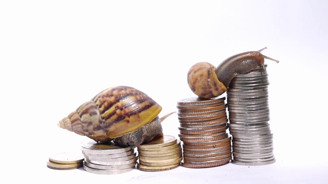 两只蜗牛爬硬币堆在白色的背景视频下载
