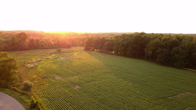 美丽的夏季日落航拍密歇根农场的土地视频素材
