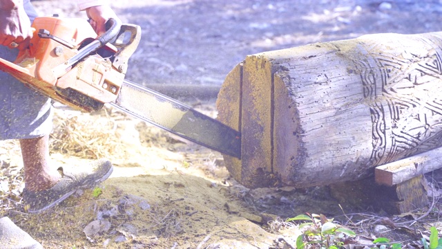 用链锯缓慢地锯木头。视频素材