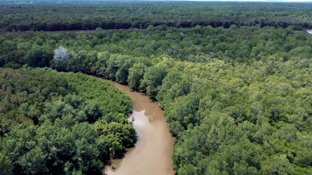 亚马逊河空中视频下载