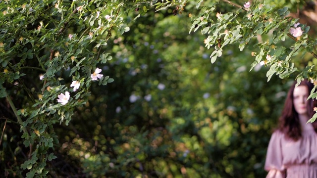 一个黑发长发的女孩的肖像，站在树林中，触摸着树枝和树叶。视频素材