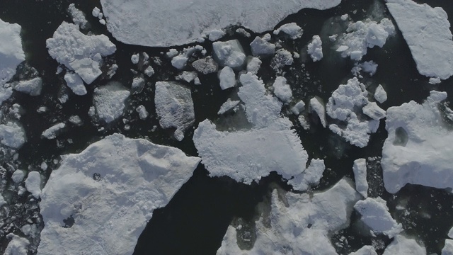 美国阿拉斯加卡克托维克海面上的浮冰视频下载