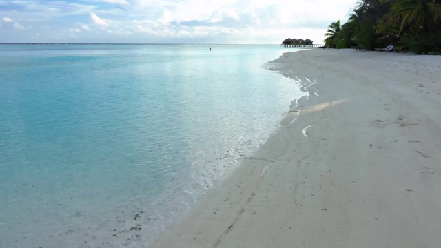 4K视频马尔代夫的大海和椰子树海滩视频素材