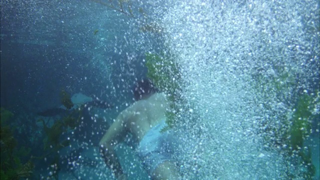 金发碧眼的美人鱼从左上镜头潜入水中，游泳进入背景，后面跟着一个穿着白色短裤的黑头发男人在水下视频下载