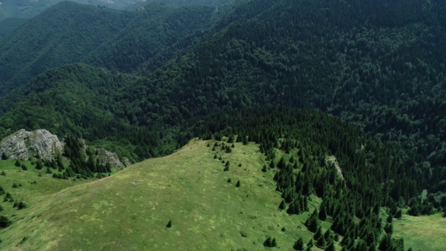 Kopaonik山上的森林视频素材