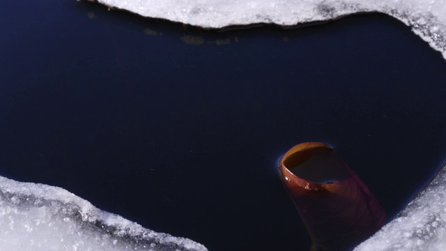 冰融化，睡莲从湖中出来，英国视频素材