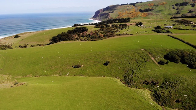 鸟瞰图草地和绵羊农场，新西兰视频下载