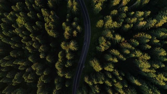 森林公路旅行从无人机的视角视频下载