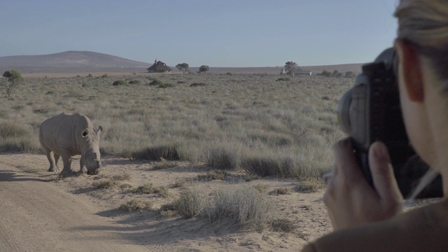 金发女子近距离拍摄犀牛视频素材