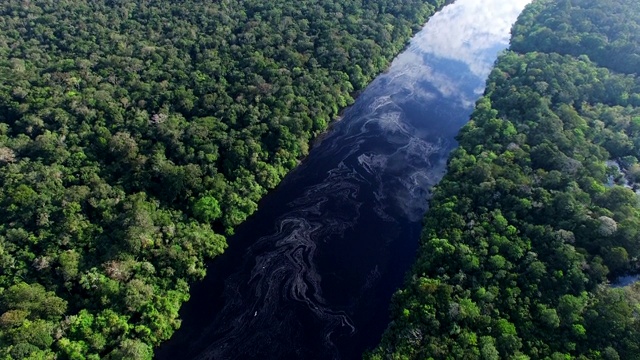 巴西亚马逊雨林鸟瞰图视频素材