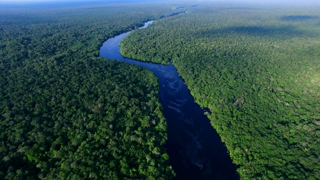 巴西亚马逊雨林鸟瞰图视频下载