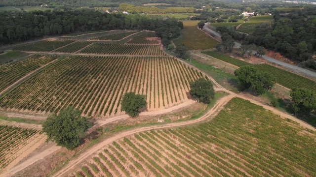 这是法国南部普罗旺斯加辛镇一个美丽的葡萄园视频素材