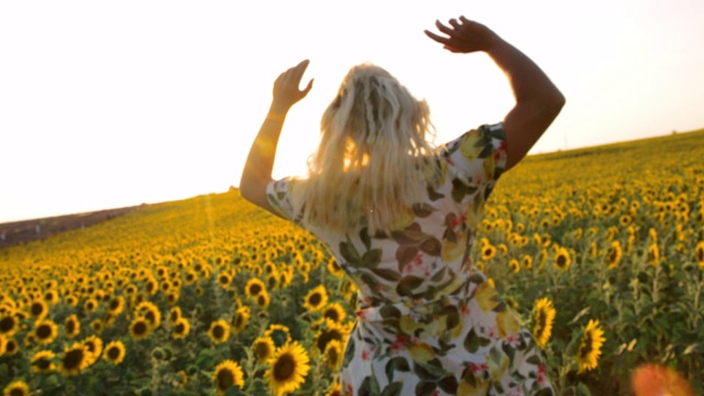 女人在田野里的向日葵中奔跑视频下载