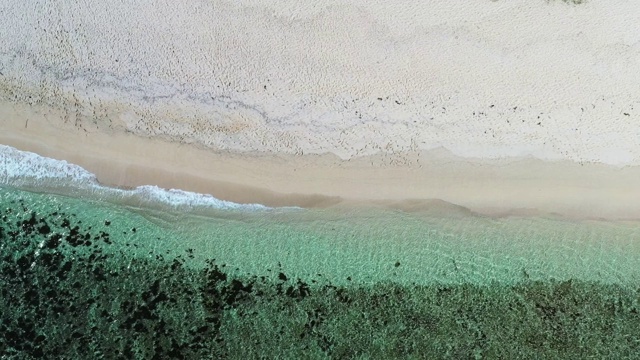 拥挤的海滩在毛里求斯-人们放松享受夏天的时间视频素材