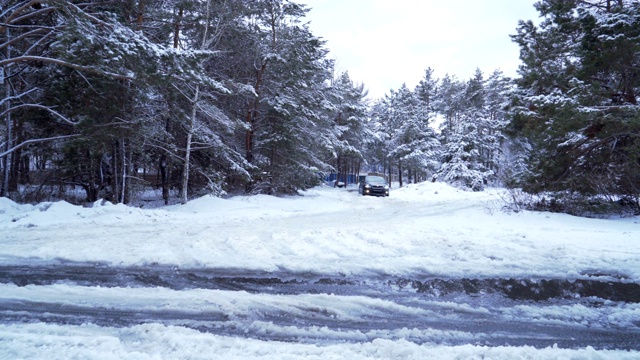 汽车在深雪的冬天行驶在4K森林里视频下载