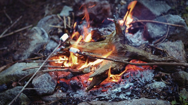 野餐时在篝火上煎棉花糖。用两根棍子遮住篝火录像。视频素材