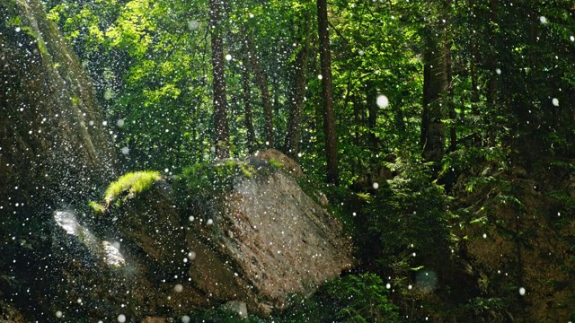 在田园诗般的森林里，水滴落在树木和岩石上视频下载