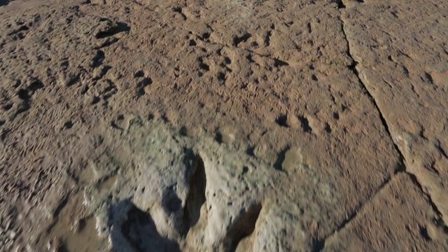 摄像机追踪海岸岩石上兽脚亚目恐龙的足迹视频下载