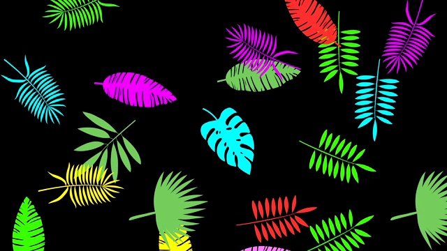 热带树叶最小运动设计动画视频下载