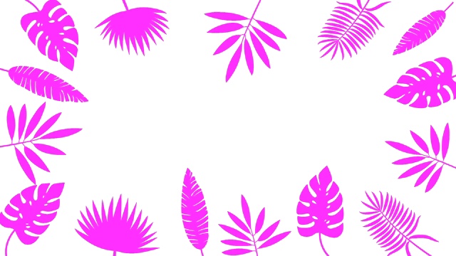 热带树叶最小运动设计动画视频素材