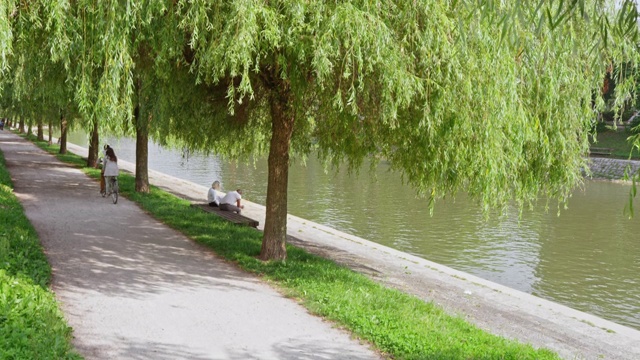 丈夫和妻子骑着双人自行车穿过公园视频素材