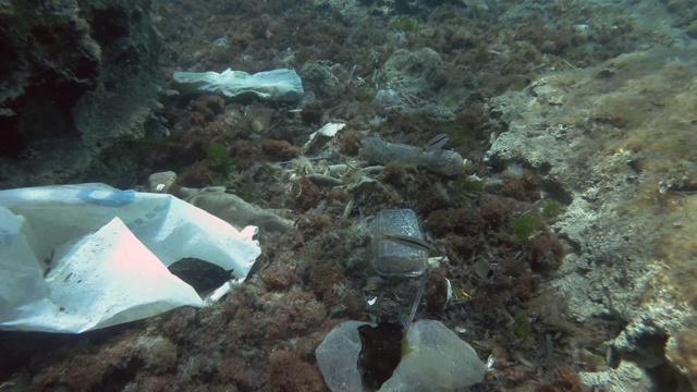 塑料污染，热带鱼游过覆盖着大量塑料垃圾的海底。缓慢的运动。欧洲地中海海床上的塑料瓶、塑料袋和盘子。视频素材