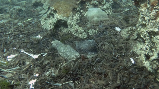 塑料污染，很多塑料垃圾底部覆盖着海藻。欧洲地中海海床上的顶篷、塑料瓶、塑料袋和盘子。视频素材