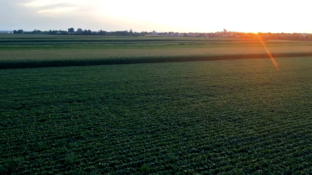 日落时灌溉的农田视频素材