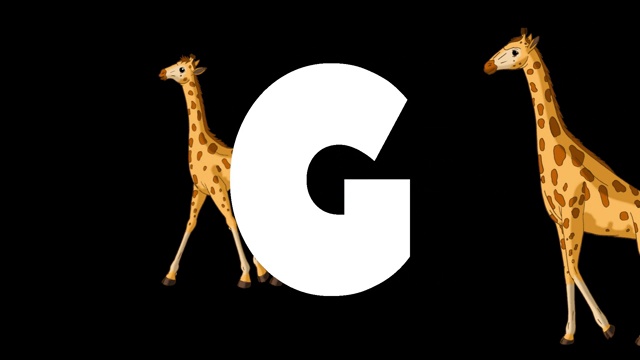 字母G和长颈鹿在背景上视频下载