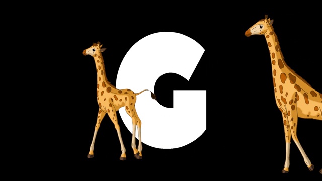 字母G和长颈鹿在前景视频下载