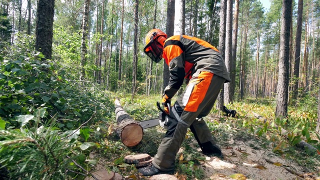 伐木工人正在森林里砍伐树木视频下载