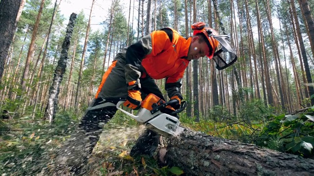 木工正在用电锯砍树视频素材