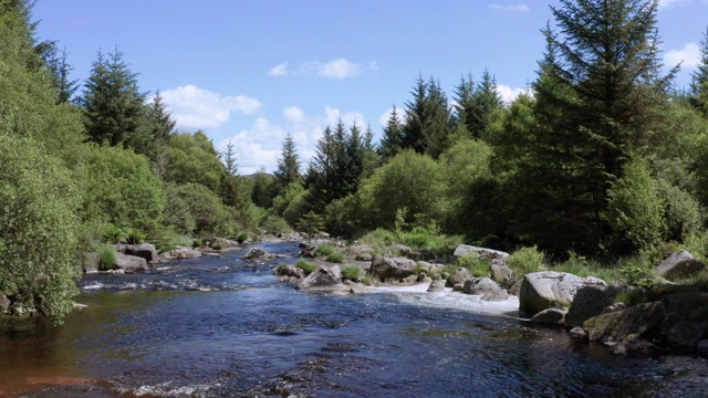森林中一条苏格兰小河的鸟瞰图视频下载
