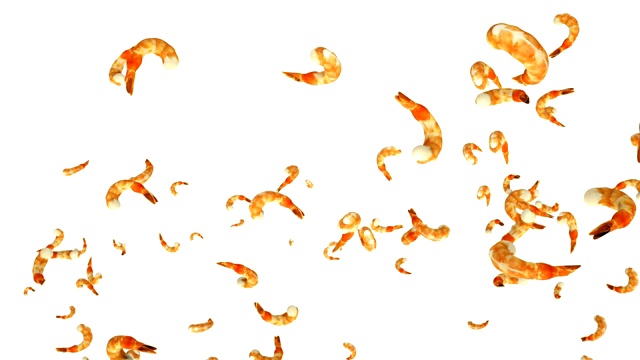 新鲜的虾在白色的衬托下缓慢地飞翔视频下载