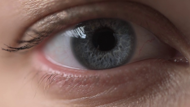 一个没有化妆的年轻女子的灰蓝色眼睛的特写，选择性聚焦，闪烁的眼睛直接对着相机。眼健康与视力矫正的概念视频素材