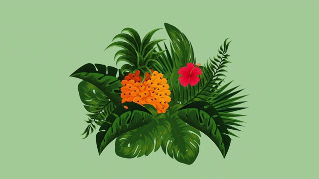 新鲜的热带和异国的橙子和菠萝水果视频下载