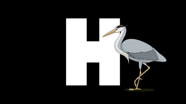 字母H和苍鹭在前景视频下载