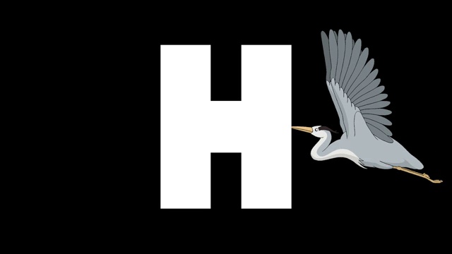 字母H和Heron在背景上视频下载