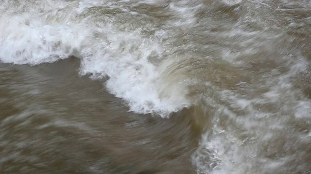 水从天然森林的高处往下流。视频下载