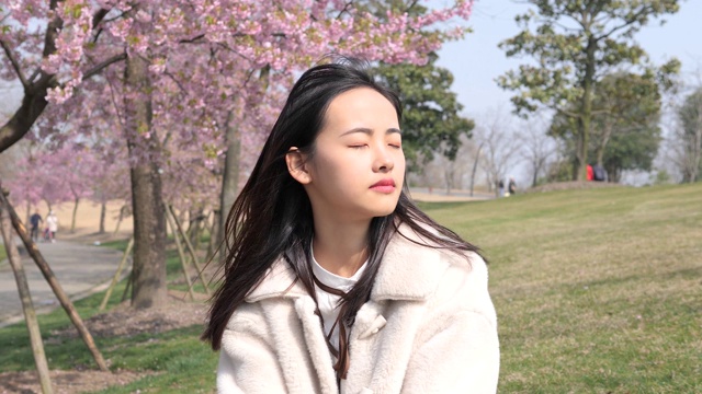 美丽的中国年轻女子坐在以粉红色樱花为背景的草地上，闭上眼睛，享受微风吹拂她黑色的长发，美丽的春天，4k，慢镜头。视频下载